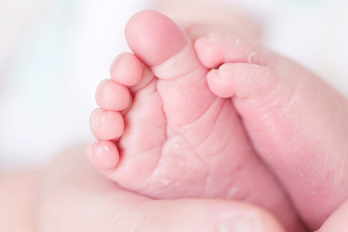 maverickpeterson-102